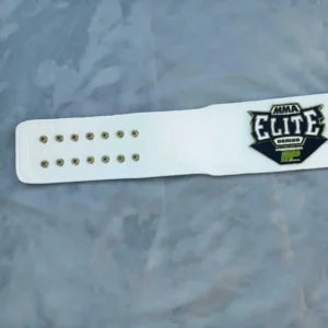 MMA Championship Title Belt