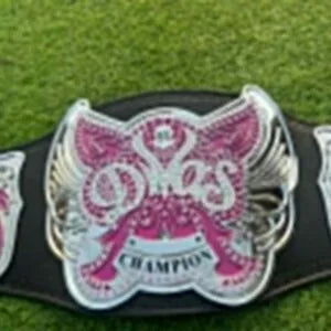 WWE Divas Championship Belt Replica 4MM CNC Nickel  Gold Plated  Absolute Belts