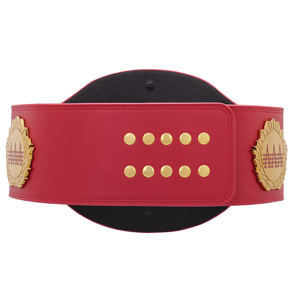 AAA World Mixed Tag Team Championship Replica Title Belt