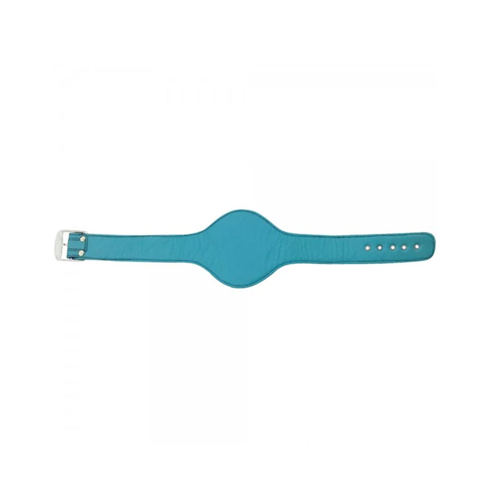 WBC EMERALD WORLD BOXING CHAMPIONSHIP BELT Championship Belts Online