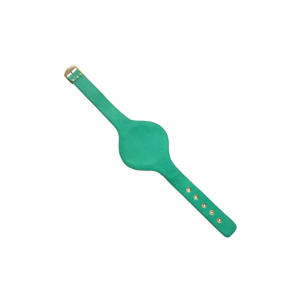 WBC EMERALD BOXING CHAMPIONSHIP BELT Championship Belts Online