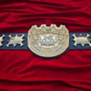 IWGP International Wrestling Championship Belt  12MM CNC 3D 24K Gold Plates