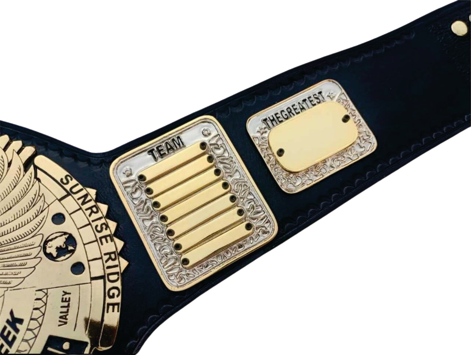 Custom Tag Team Phi Beta Sigma Championship Belt Championship Belts Online