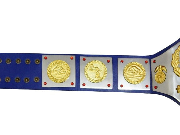 WWWF Bruno Sammartino Heavyweight Wrestling Champion Belt Bob Backlund Champions Championship Belts Online