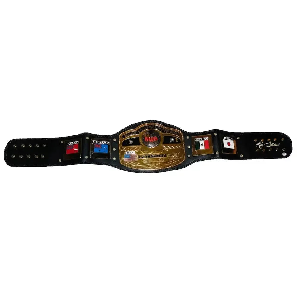 NWA world heavyweight championship replica belt with black strap and gold plates featuring international flags