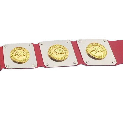 Wwf D-generation X Championship Belt Replica Championship Belts Online